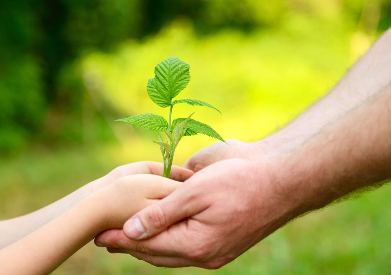 Program Prostředí pro život nabízí miliardy na výzkum sucha, změny klimatu nebo cirkulární ekonomiky